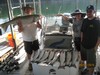 (09/07/2015) - Nice Striped Bass
